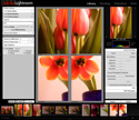 Adobe Photoshop Lightroom 4. Комплексная обработка цифровых фотографий