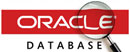 Бесплатный вебинар «Эффективная работа с Oracle SQL Developer»